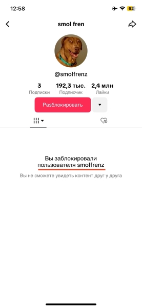 Как заблокировать человека в TikTok