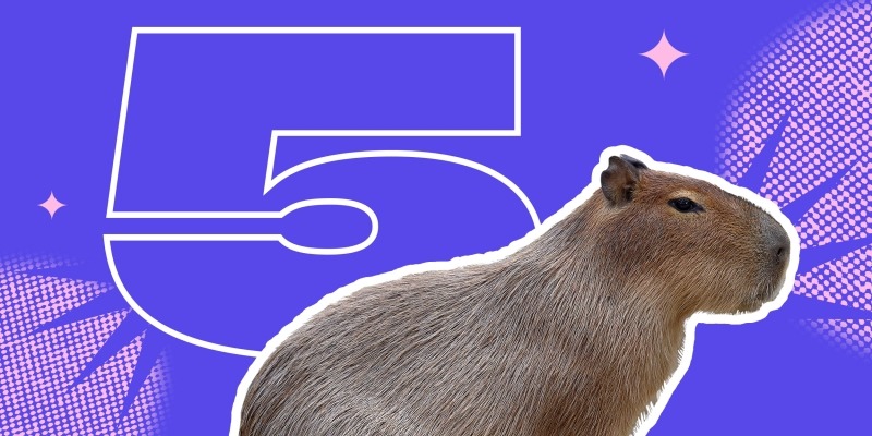 5 фактов о капибарах — самых больших и милых грызунах в мире