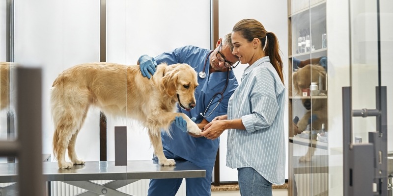 15 профессий, связанных с животными и их изучением